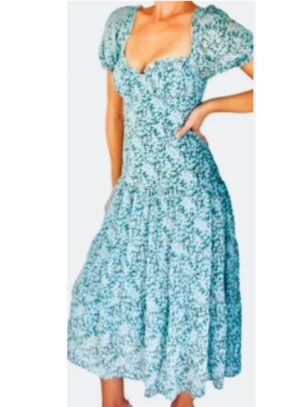 Astr the Label Floral Midi Dress Puff-Sleeve Smocked Cottagecore Blue Smocked
